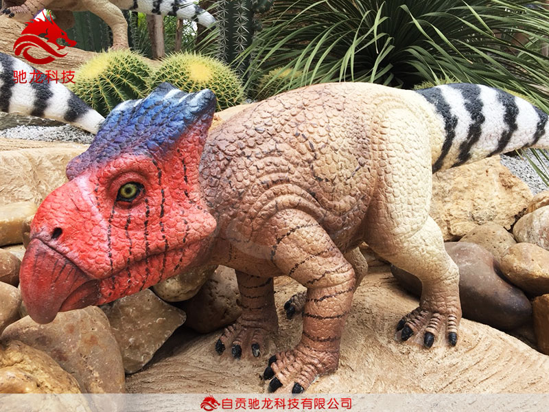 仿真恐龍-原角龍近親弱角龍Bagaceratops